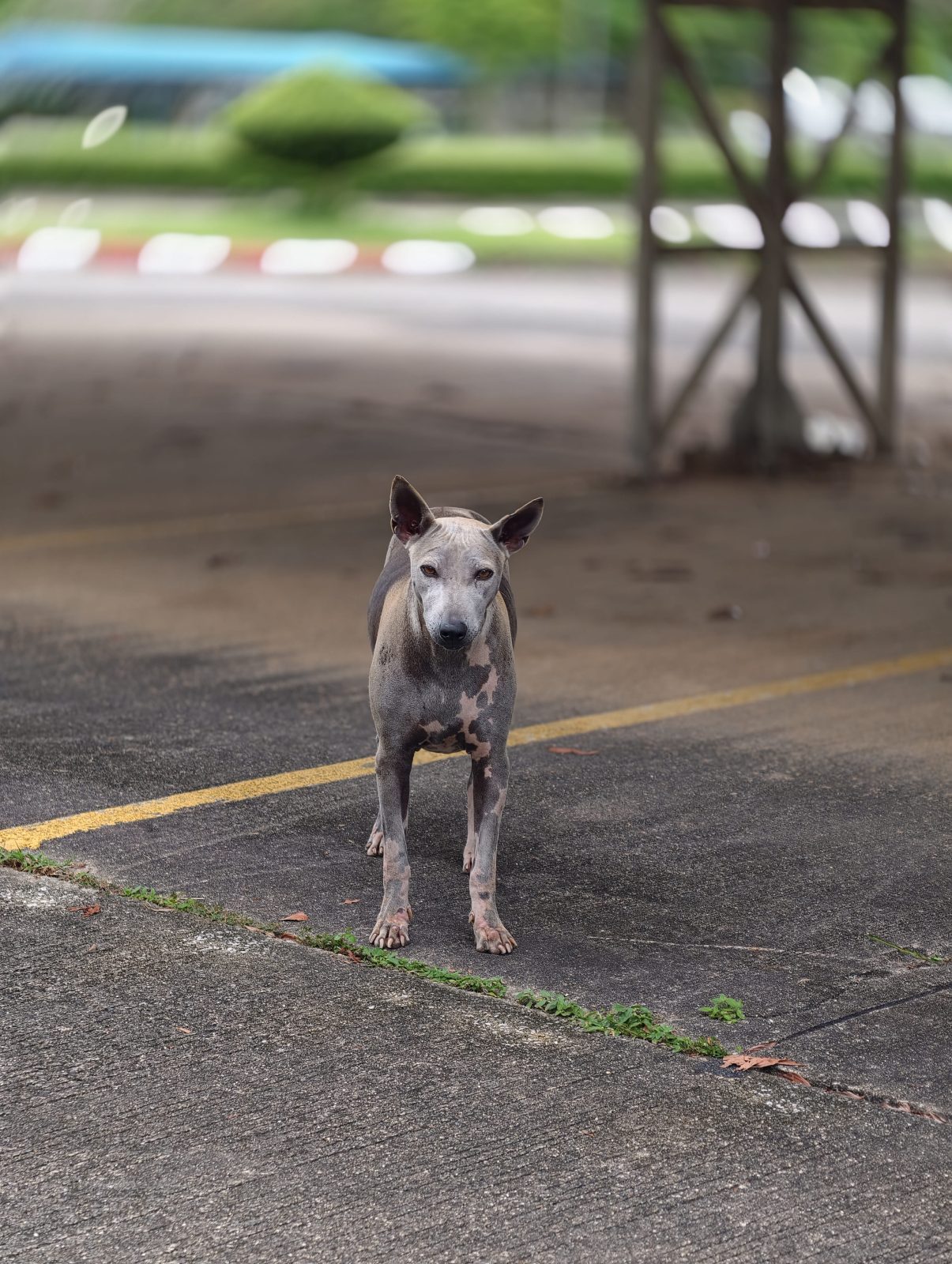 รูปที่ 2