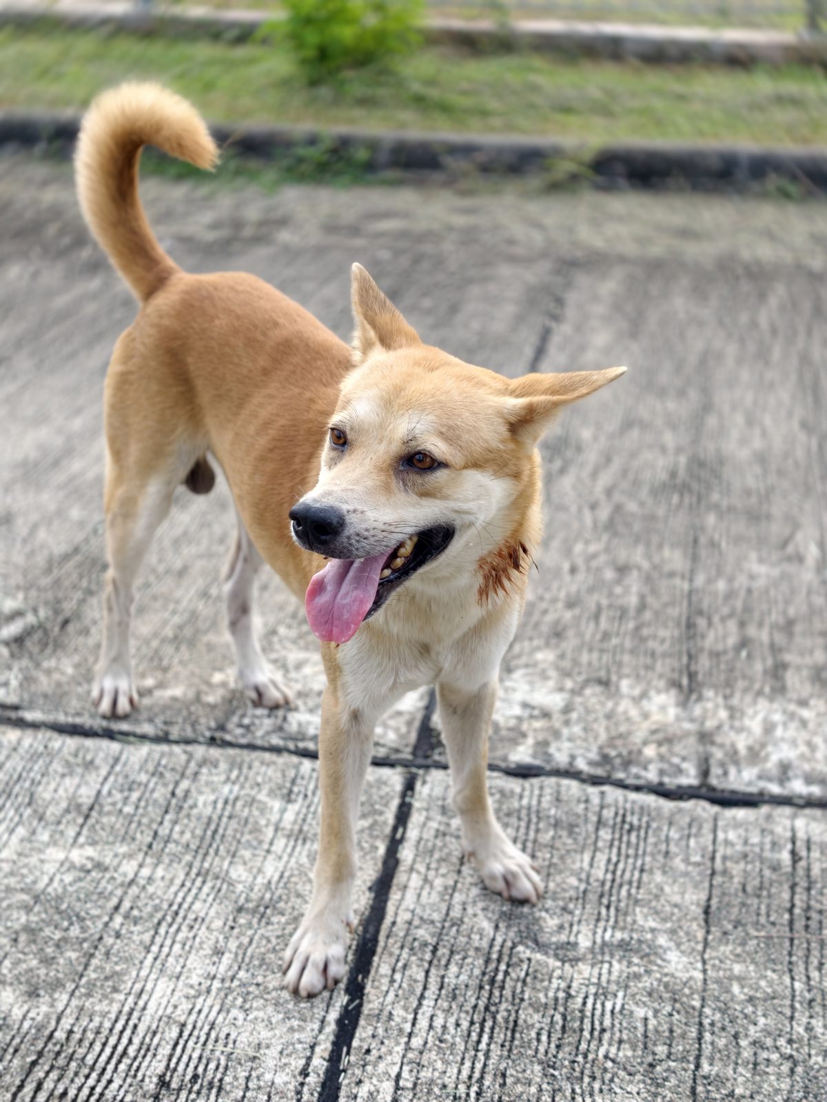รูปที่ 2