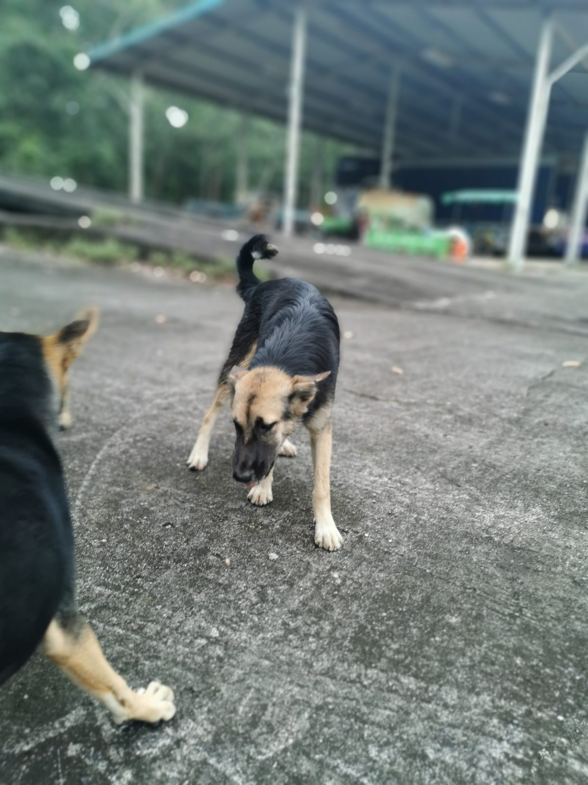 รูปที่ 4