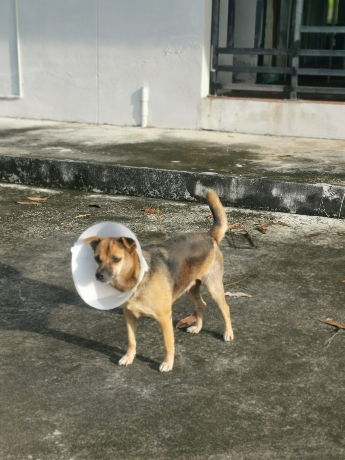 รูปที่ 4