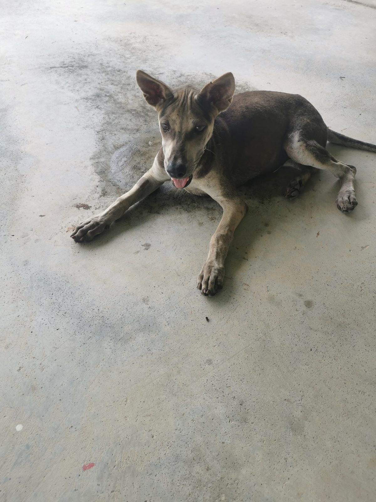 รูปที่ 2